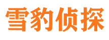 龙港市侦探公司